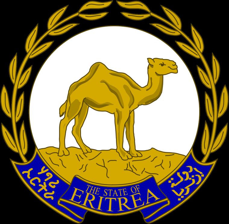 Eritrea: Effort to Strengthen Youth Organization